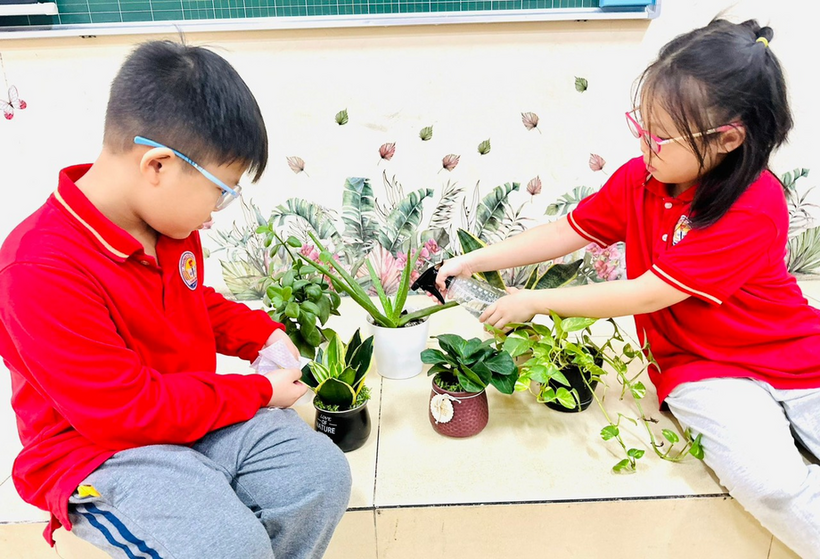 Trường Tiểu học Thành Công A hưởng ứng Tết trồng cây 2023